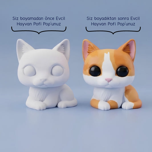 Kişiye Özel Evcil Hayvan Pofi Pop Boyama Seti